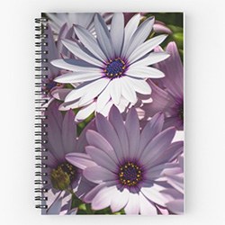Cute Daisy Gifts Journal