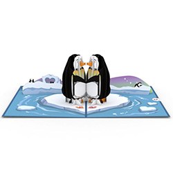 Cute Penguin Gifts Card