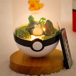 Gifts For Pokemon Fans Terrarium